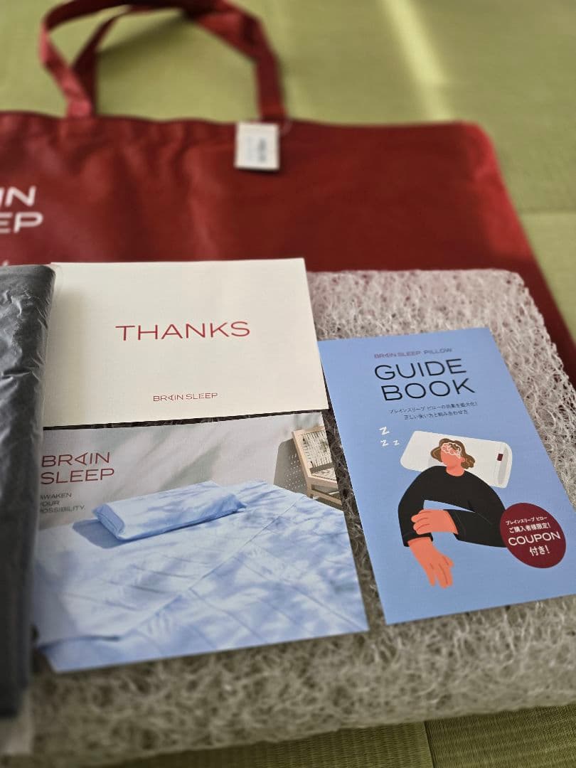 【美品】ブレインスリープ ピローローサイズ　ピローカバーと専用バッグ付き