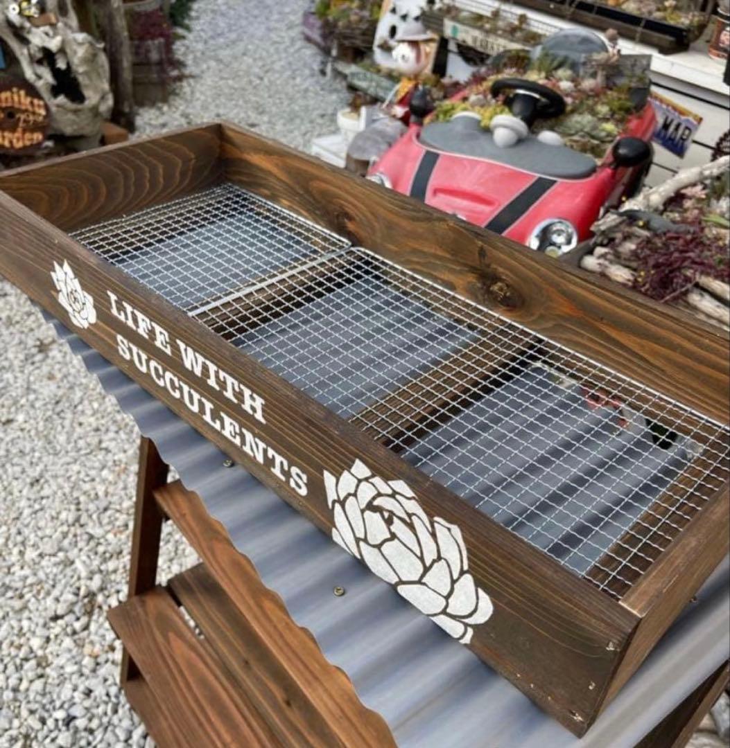 多肉植物棚　GAI-W655D（棚＋トレー）