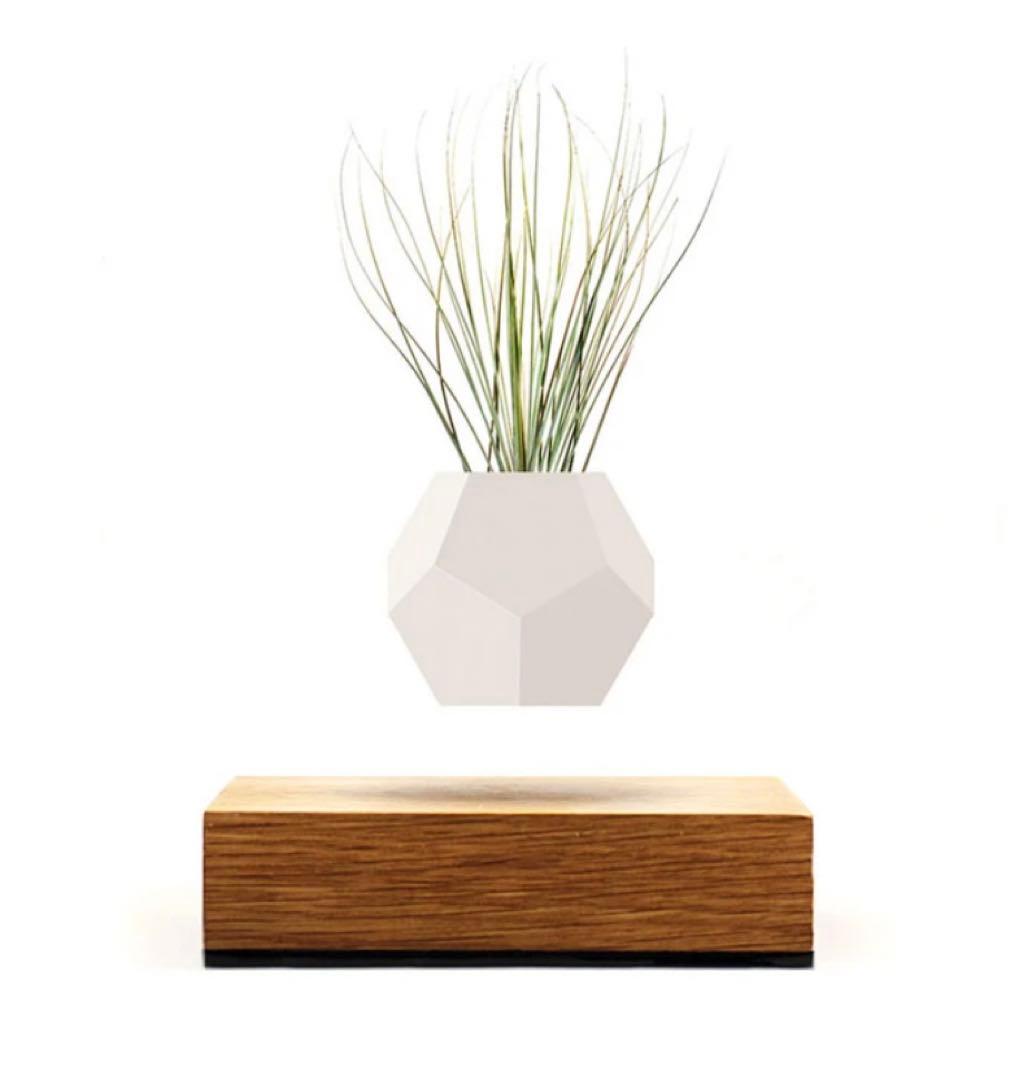 Lyfe 無重力プランター