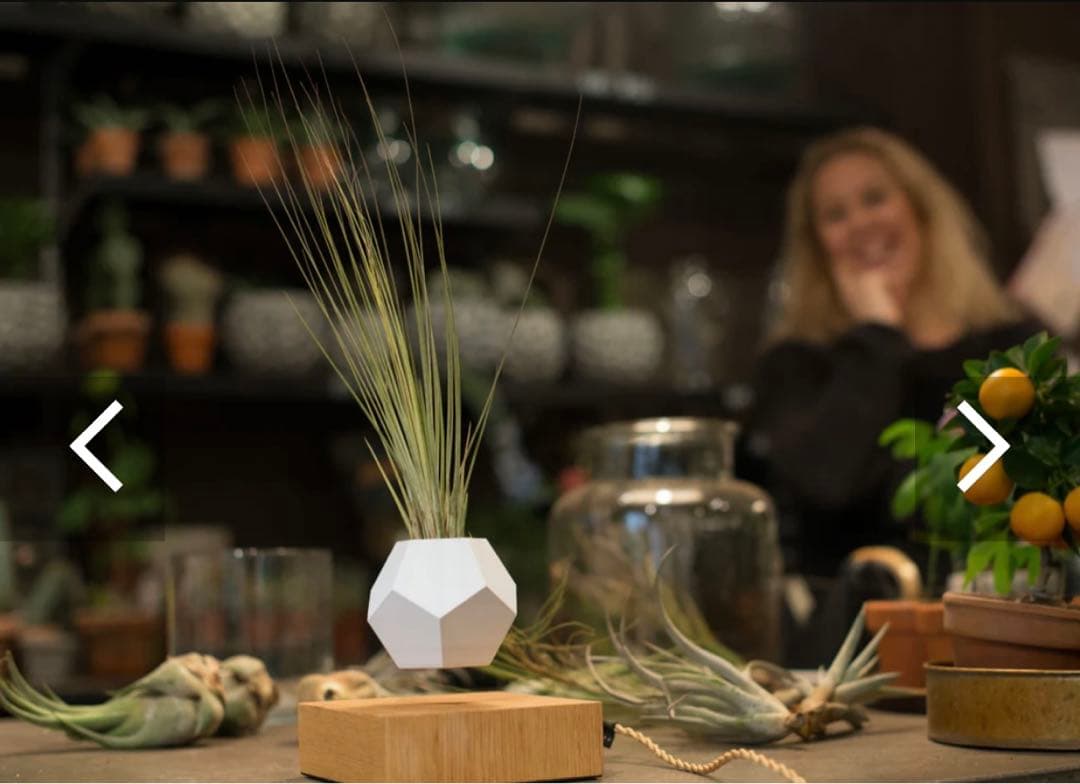 Lyfe 無重力プランター