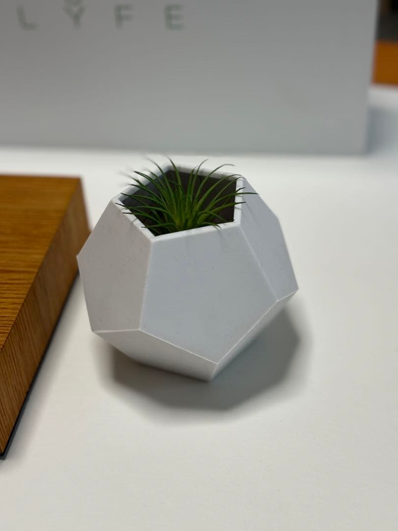Lyfe 無重力プランター