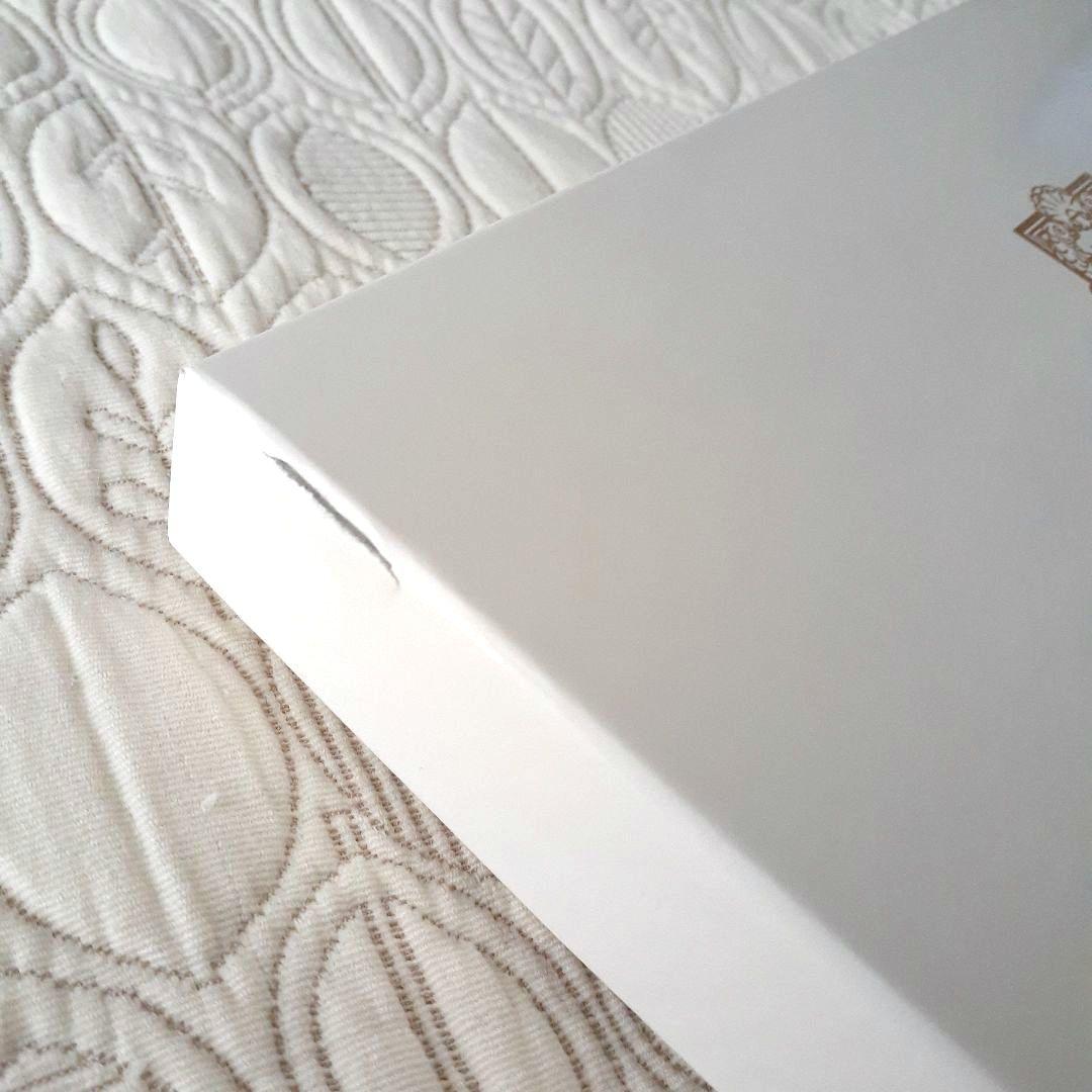 ディズニー　ミラコスタ　ホテル　カトラリー　フォーク　ナイフ　30回　宿泊　記念