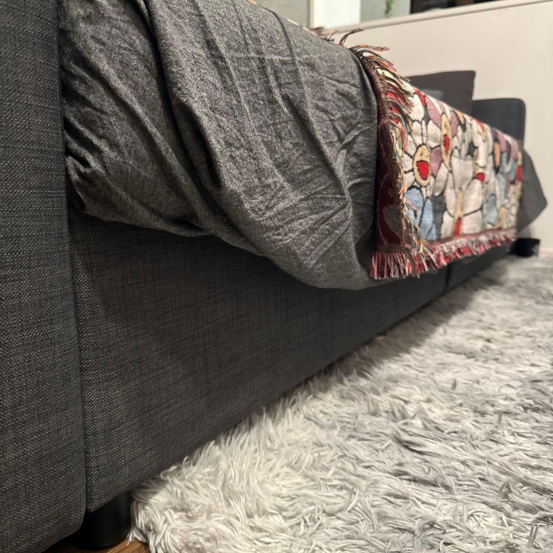 IKEA フリーヘーテン (引き取り限定) 神奈川県