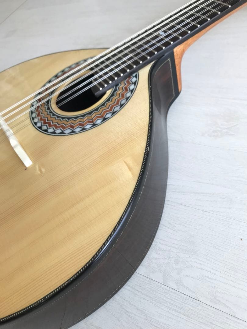 10弦バンドリン(マンドリン) - メルカリ