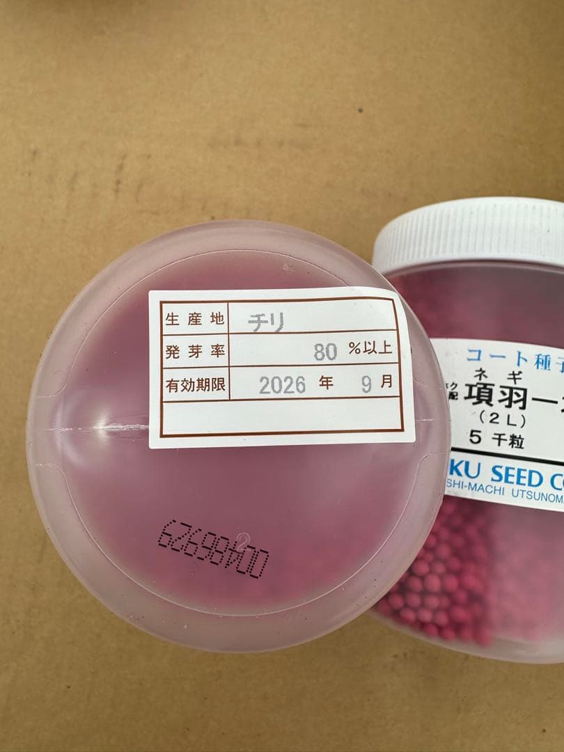 ネギ種「項羽一本太」15000粒