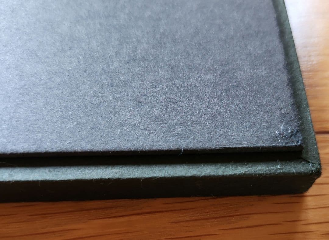 自作のイタリア「ベネツィアのモデル写真」です。