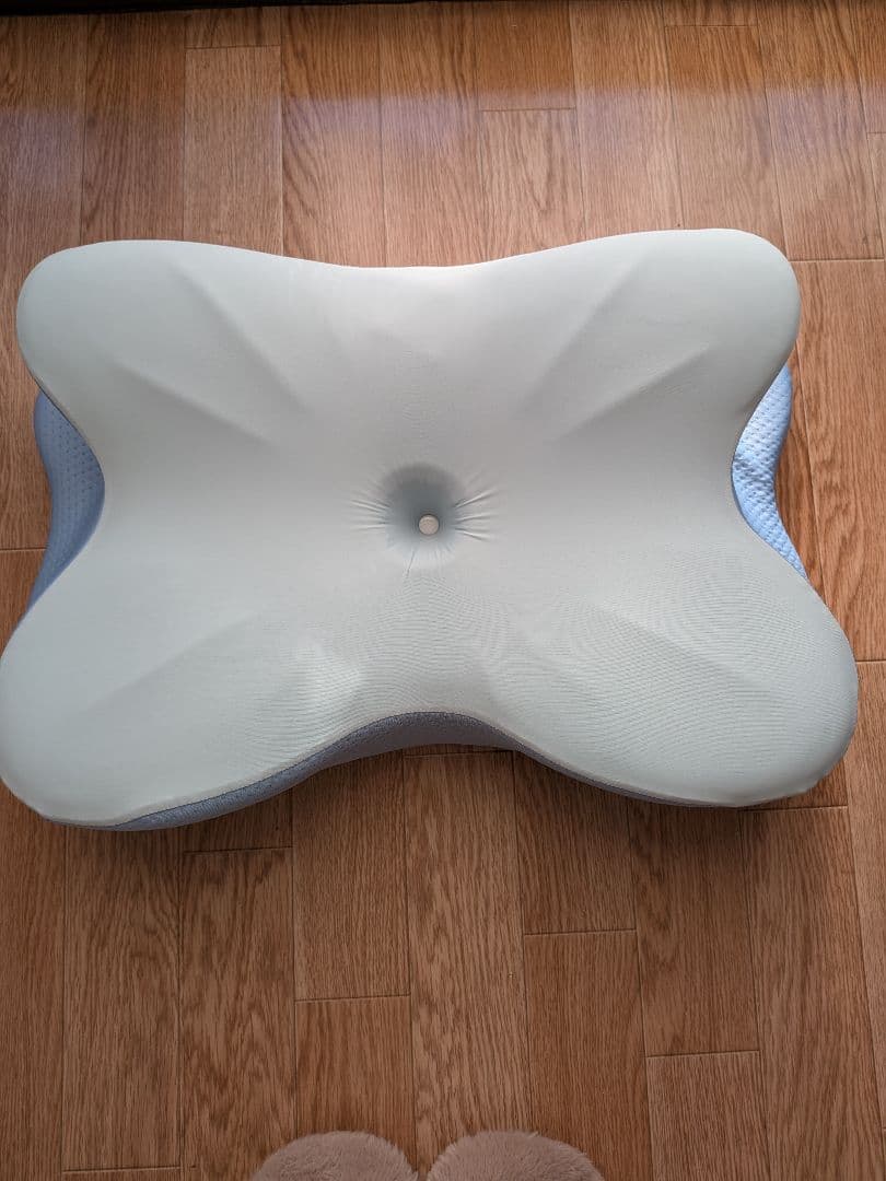 Derila Ergo 枕１　 ピロー １のセット