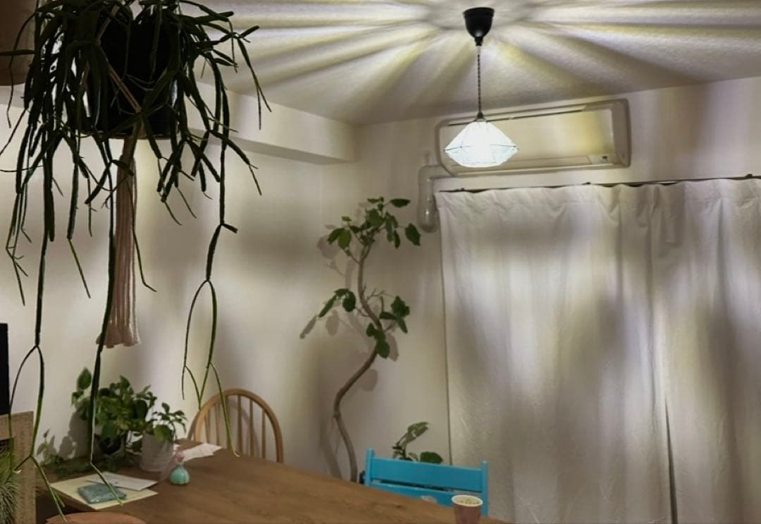 Roanne ロアンヌ ペンダントライト