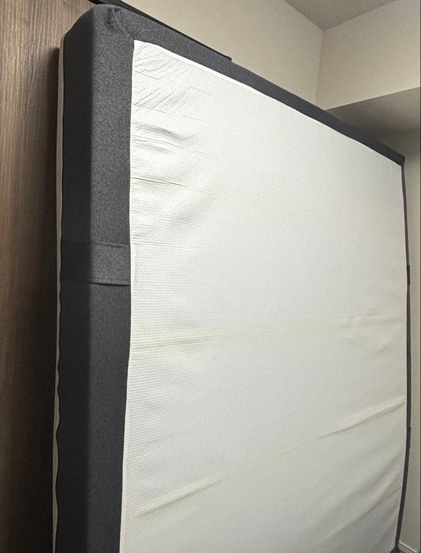 エマ・スリープ エマ・マットレス クイーン エマプロテクター付