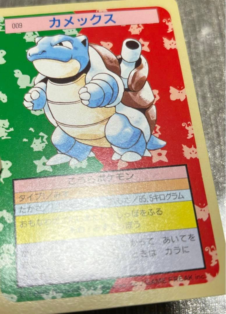 セット】ポケモンカード トップサン カメックス 裏緑 カメール 裏青