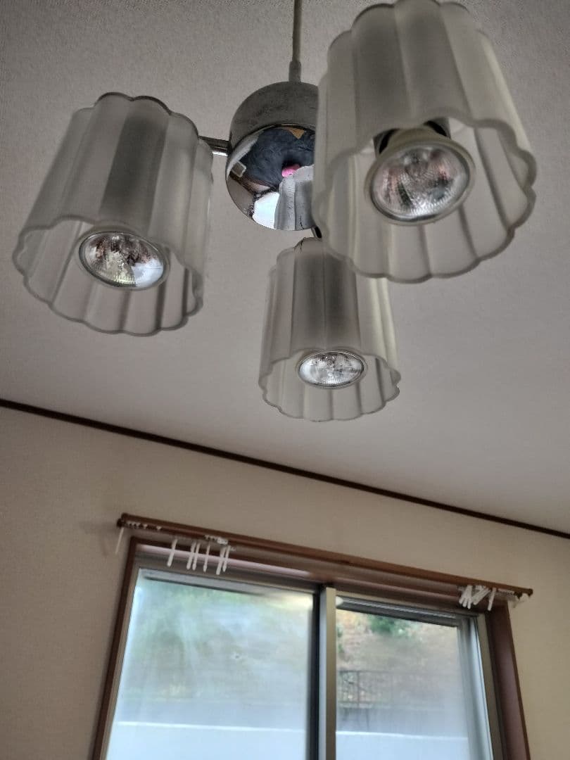 リブデザインシャンデリア