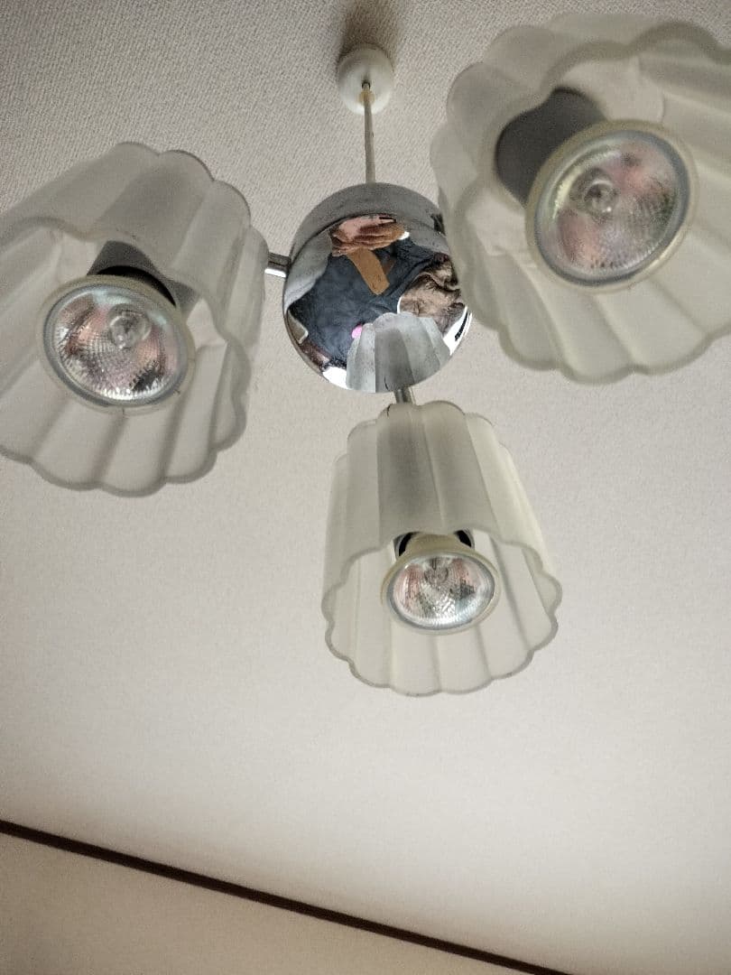 リブデザインシャンデリア