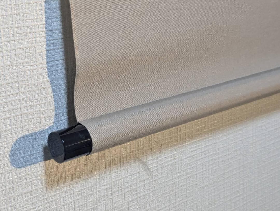 【真作】掛軸　墨椿図　力強い筆致の禅画風　余白美　二重箱入（合箱）　T199