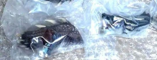 一番くじ モンスターハンター ヘッドマグネット 7点 箱無し - メルカリ