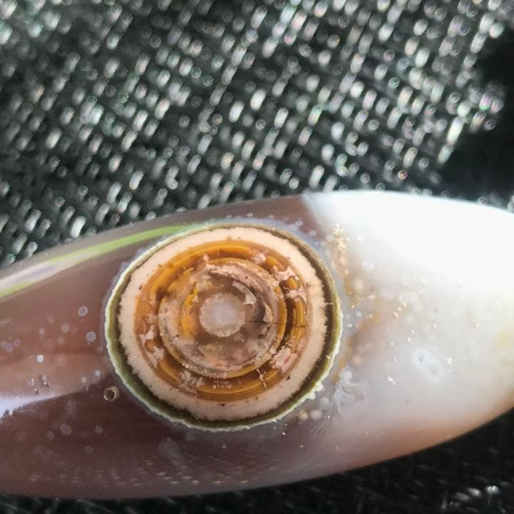 ゴビ石−856 ゴビ瑪瑙　眼石　『金瞳』パワースートン