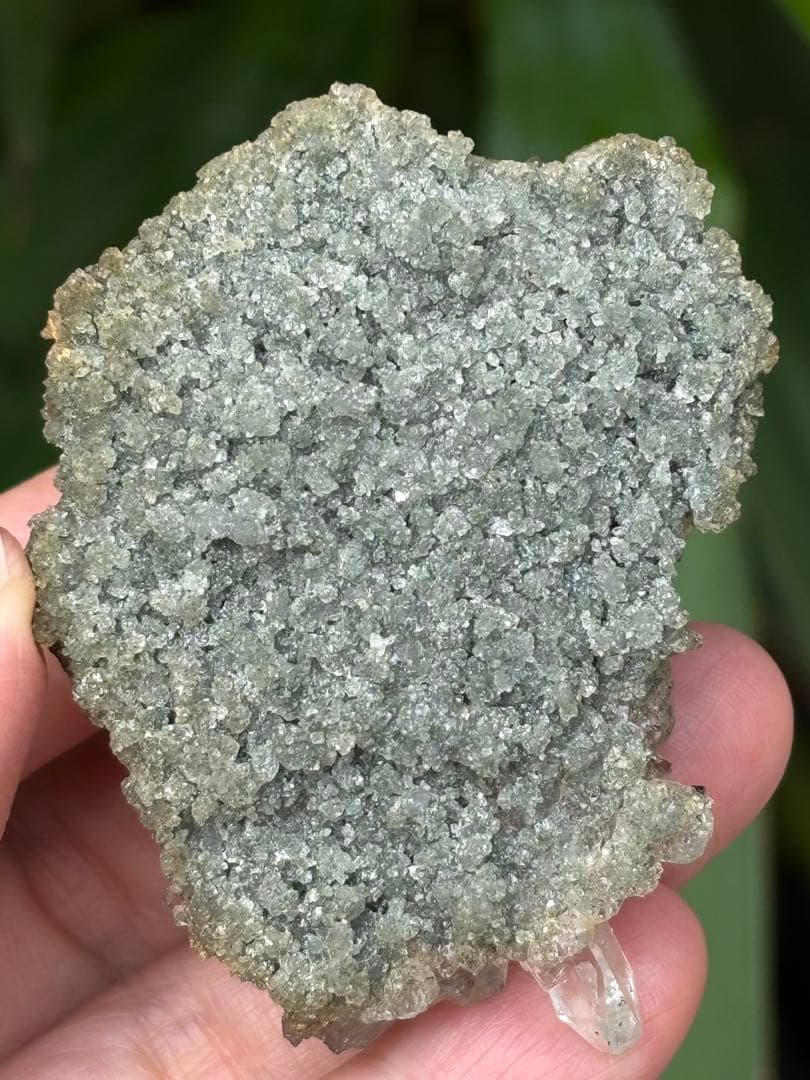 インド　マニハール水晶クラスター　クローライト　アテナース付き　73g ヒマラヤ