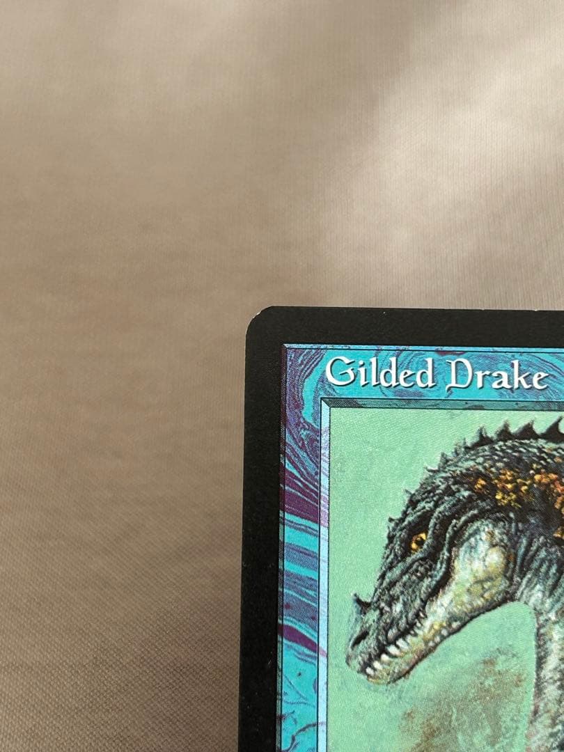 MTG 金粉のドレイク/Gilded Drake 英語版