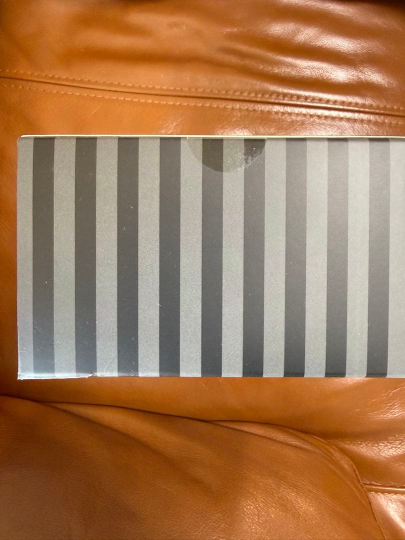 Skullpanda Wednesday 【us限定】スカルパンダ　ウェンズデー