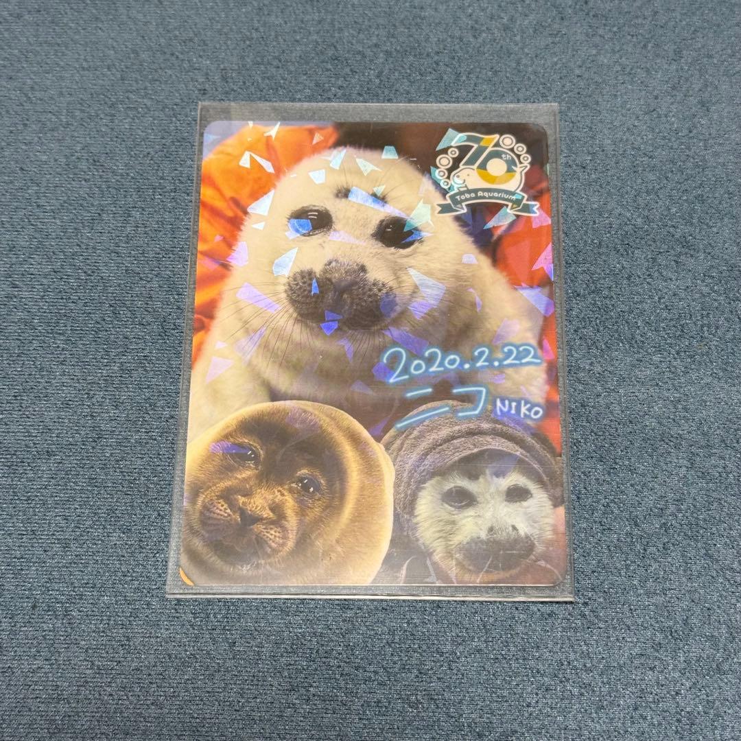 鳥羽水族館 コレクションカード バイカルアザラシ ニコ(レア) - メルカリ