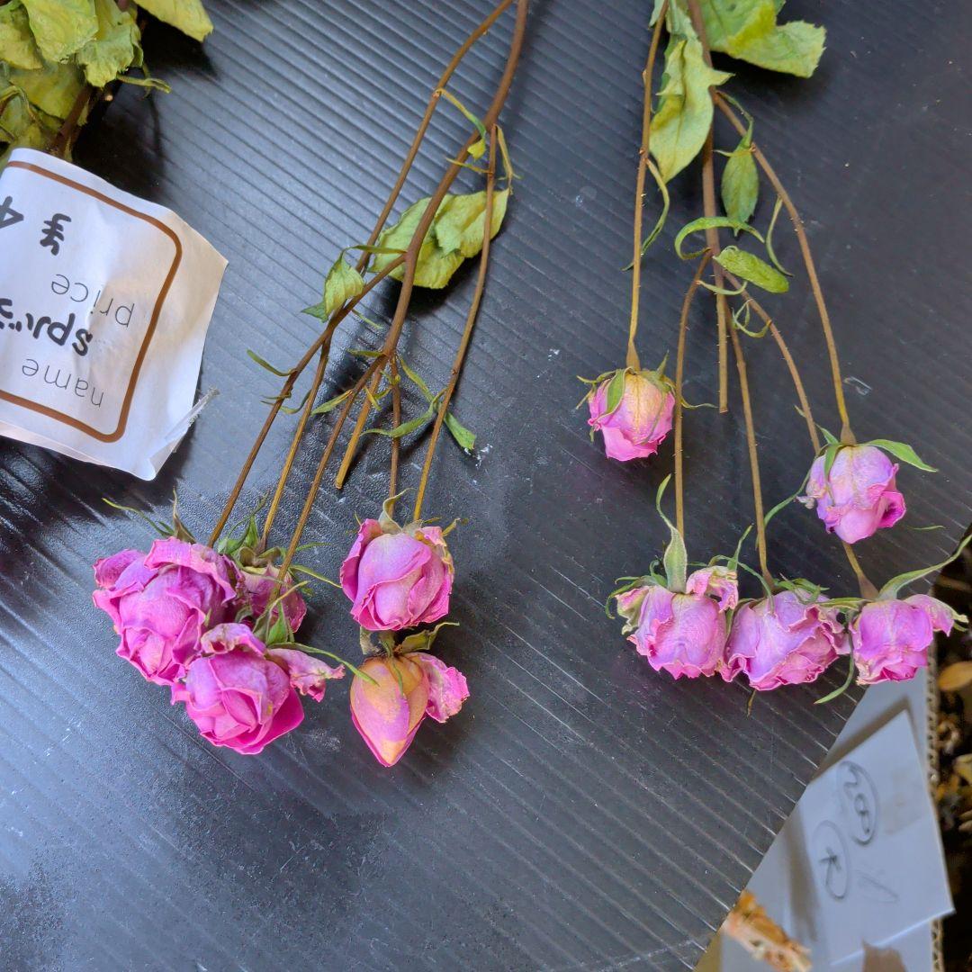 No5495 ピンクスプレーバラのドライフラワー15本 約40cm - メルカリ