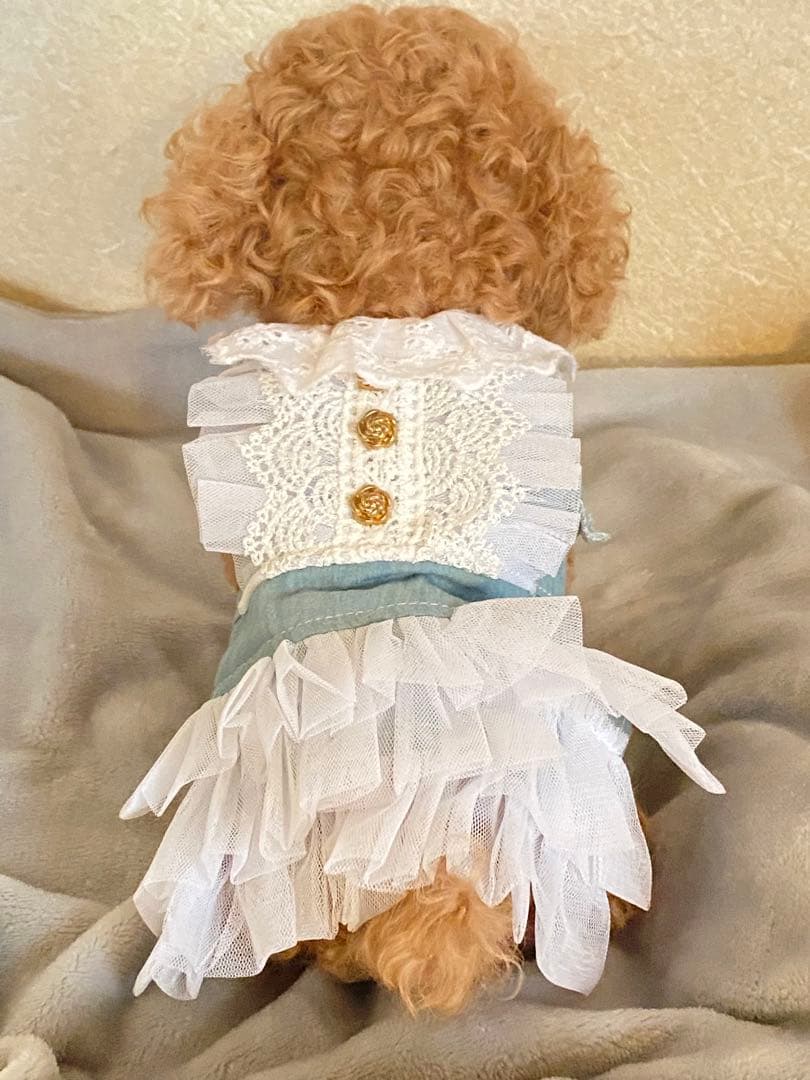 ぽぽみさん ぬいぐるみ トイプードル アートドール 作家 ハンドメイド