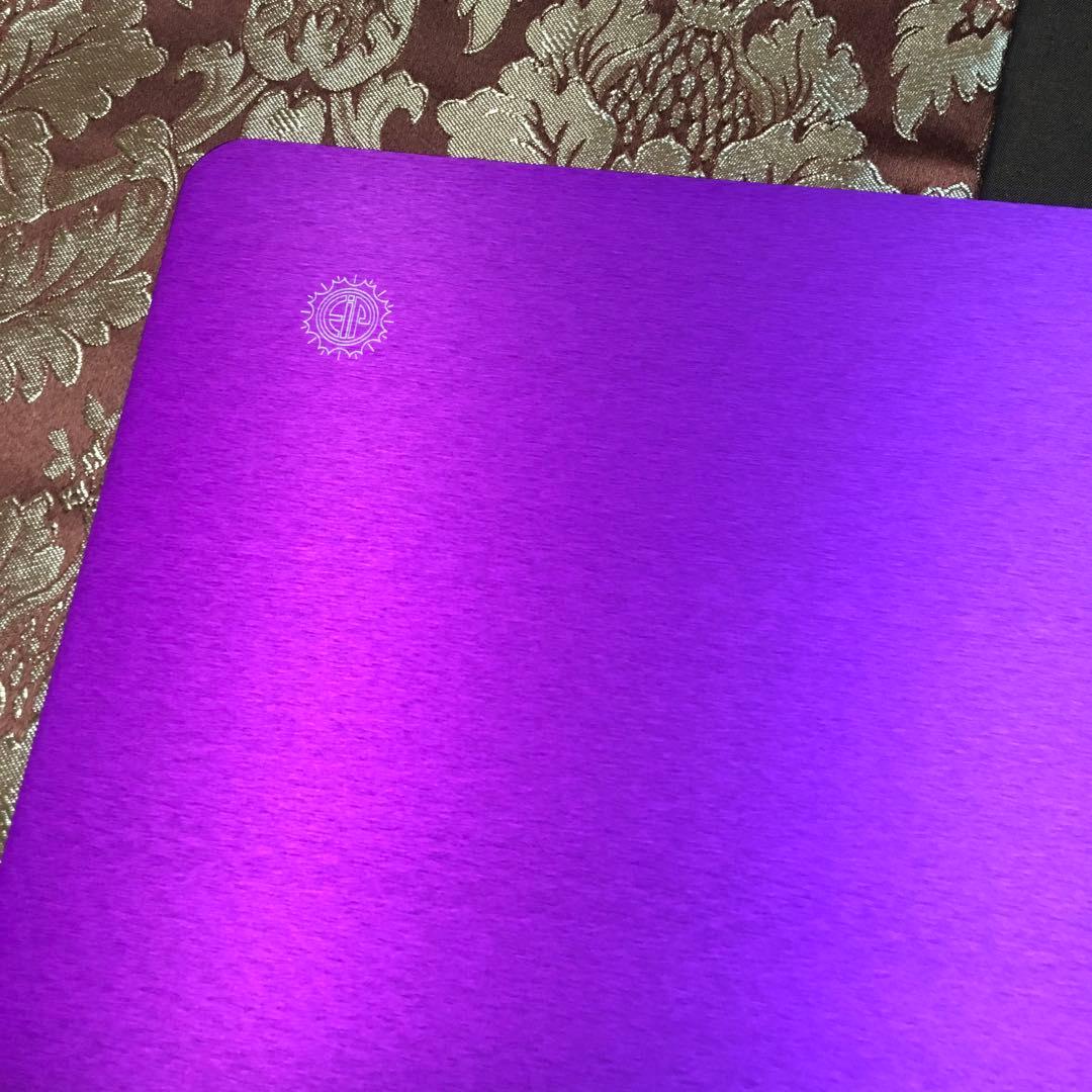 テスラ　パープルプレート　Lサイズ二枚セット