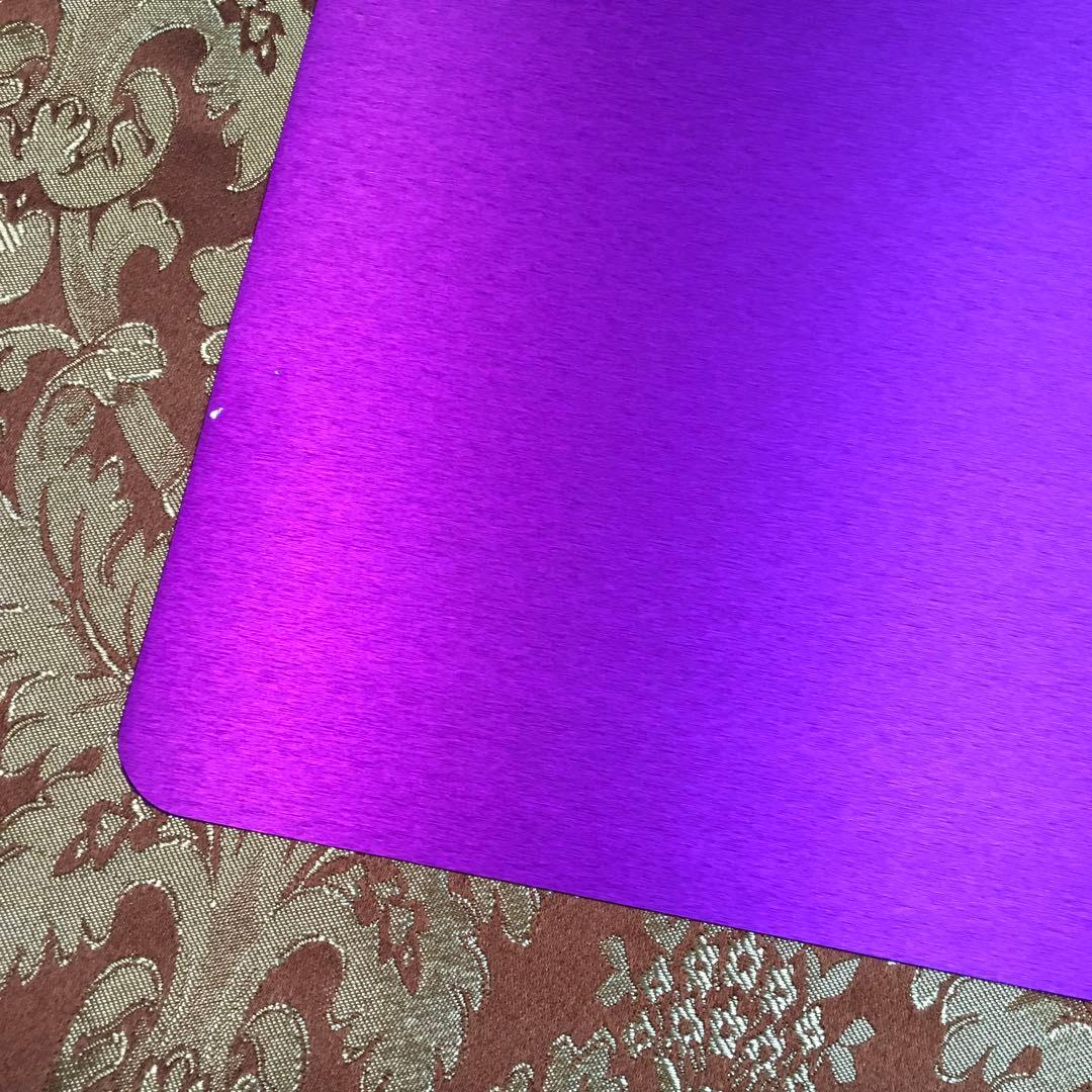 テスラ　パープルプレート　Lサイズ二枚セット