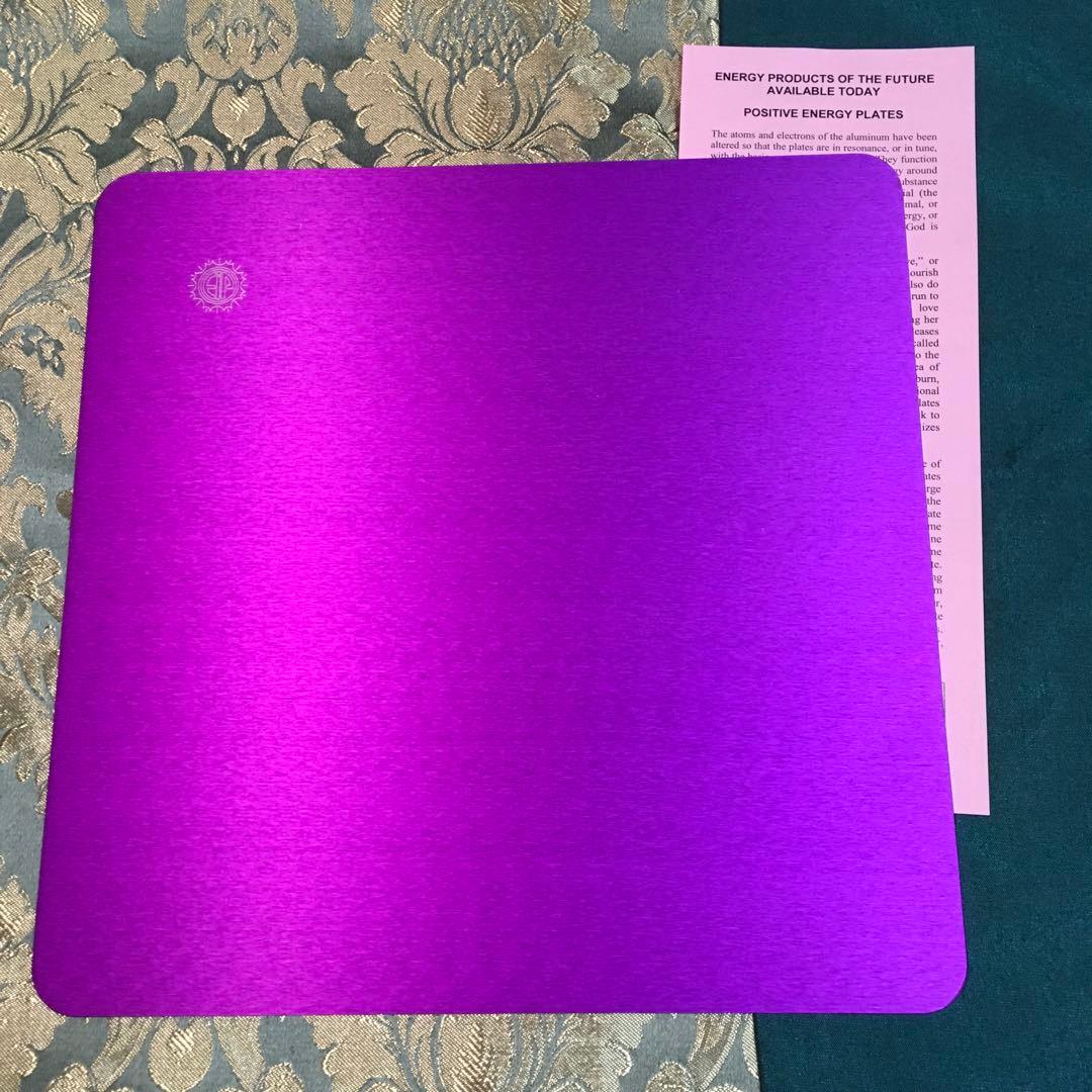 テスラ　パープルプレート　Lサイズ二枚セット