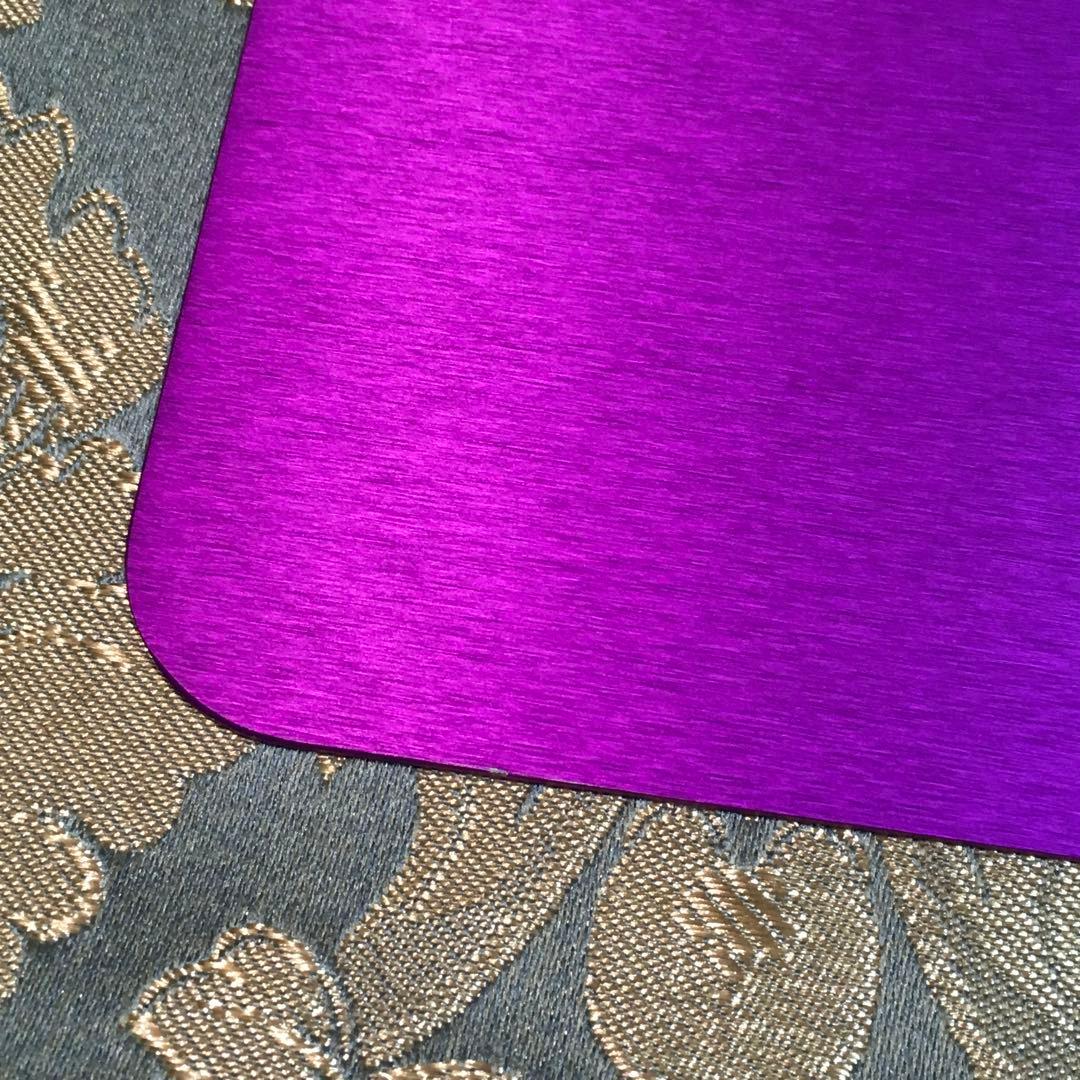 テスラ　パープルプレート　Lサイズ二枚セット