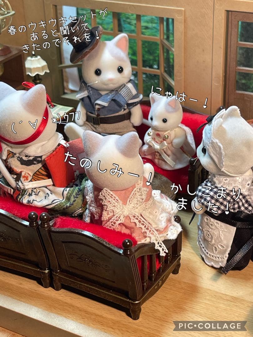 桜ウキウキセットシャリドラン