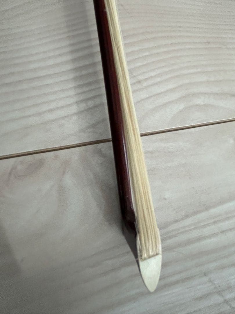 バイオリン・Carlo giordano・ケース付・1/16