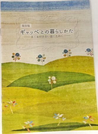 値下げ交渉ミニギャベ●32×32㎝●手織●本物●新品未使用 遊牧民が紡ぐギャッベ