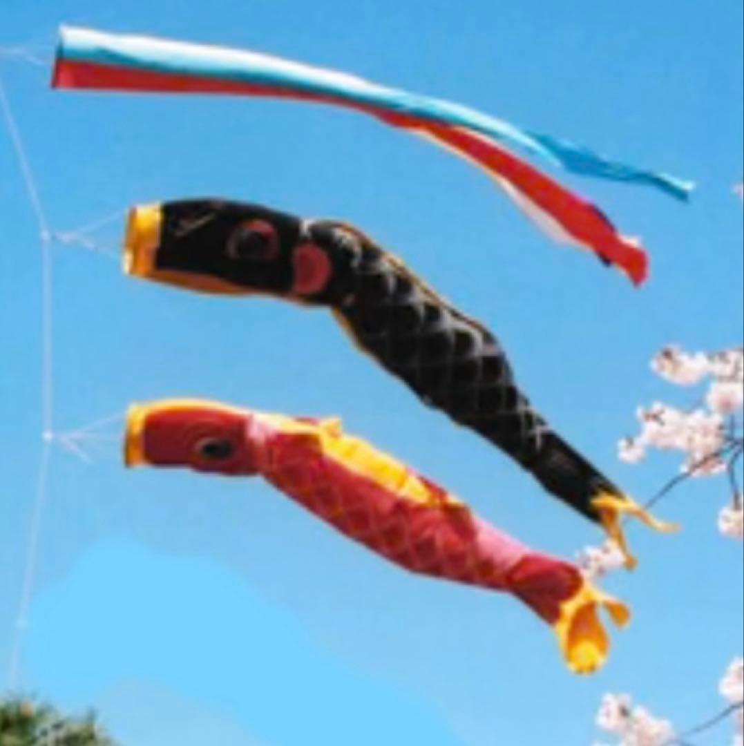 手染め鯉のぼり三間（5.4Ｍ）三点（吹流し・真鯉・緋鯉）【渋谷家四代目良春作】