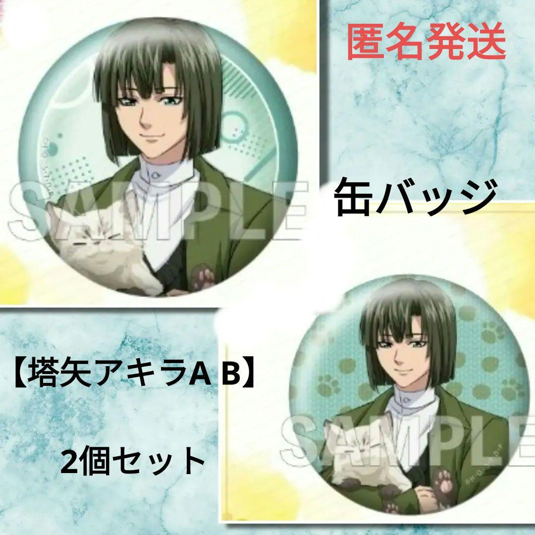 まるくじ ヒカルの碁 缶バッジ 塔矢アキラ A柄 B柄 2個 - メルカリ