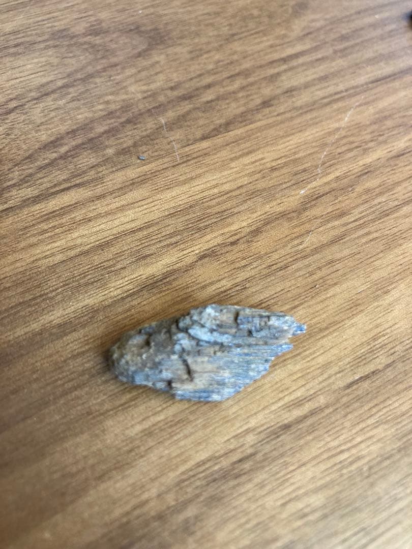 香木 沈香　シャム　5.1g