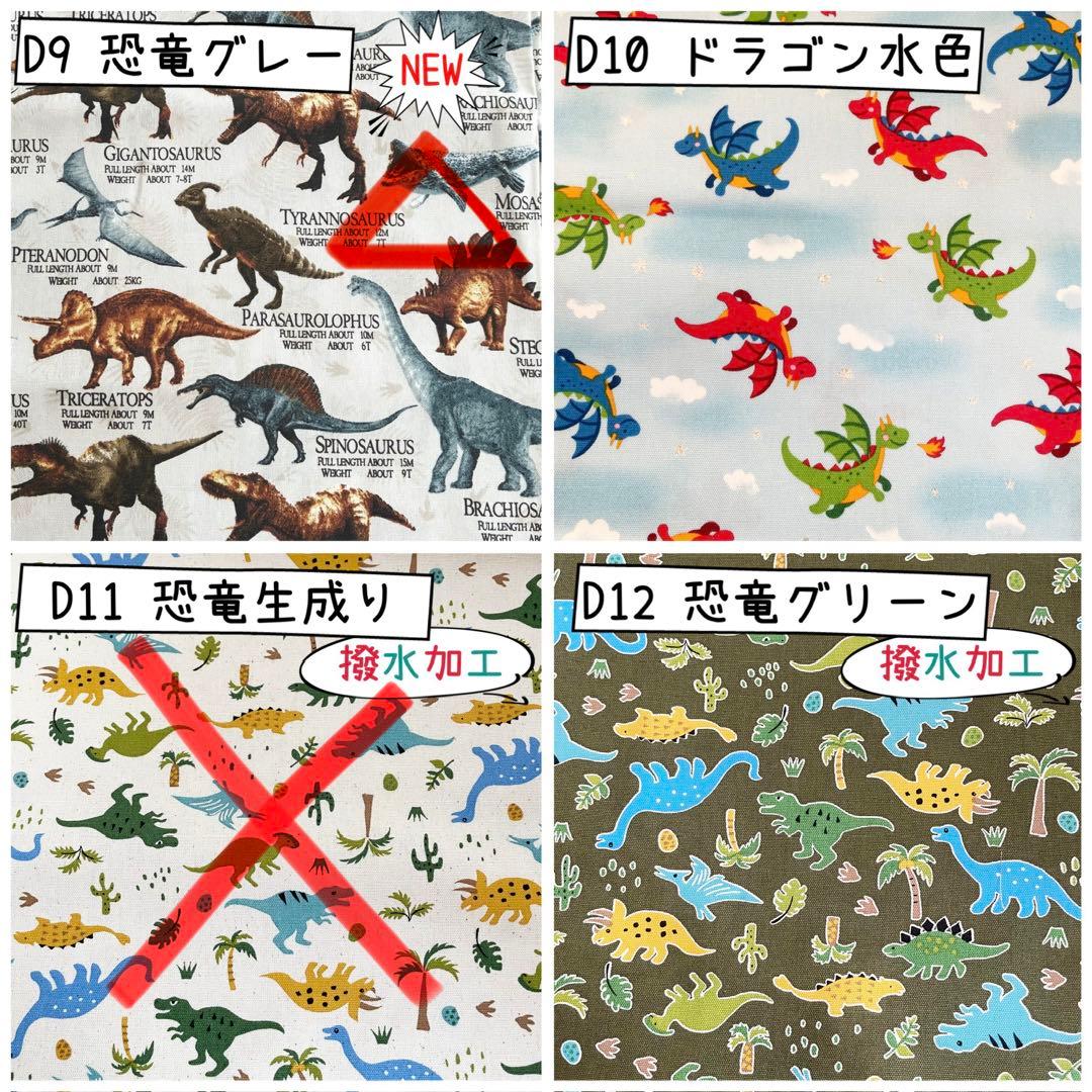 たまページ　《ダイナソー　恐竜》男の子