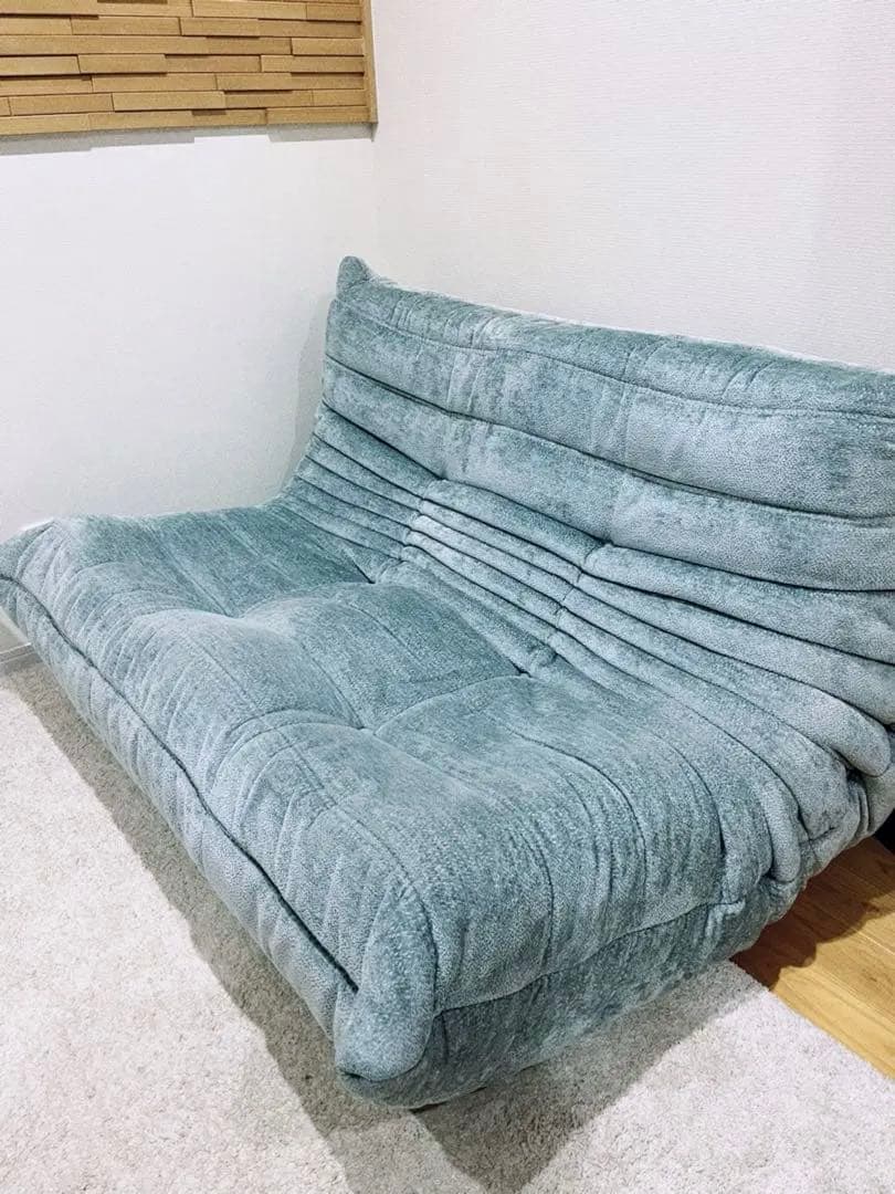 SALE❗️ligne roset ROSETTOGO 2P グリーン　ブルー