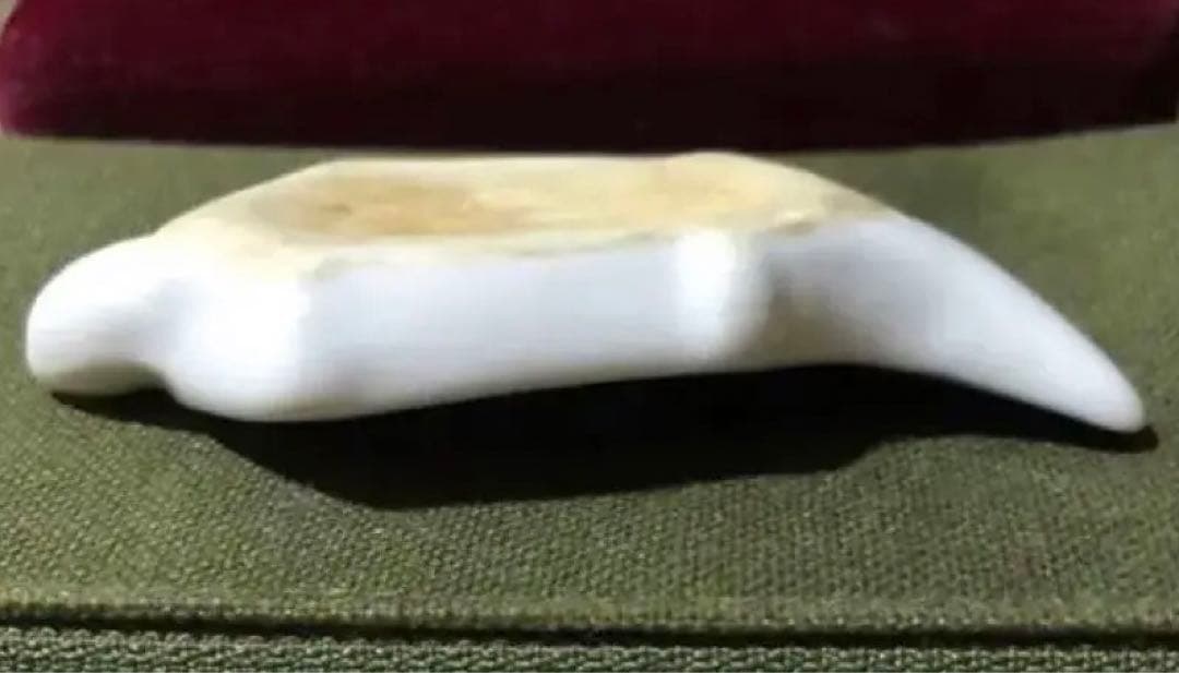 亀山焼 亀箸置き 白磁染付 幕末維新 司馬遼太郎 佐賀藩 鍋島藩 - メルカリ