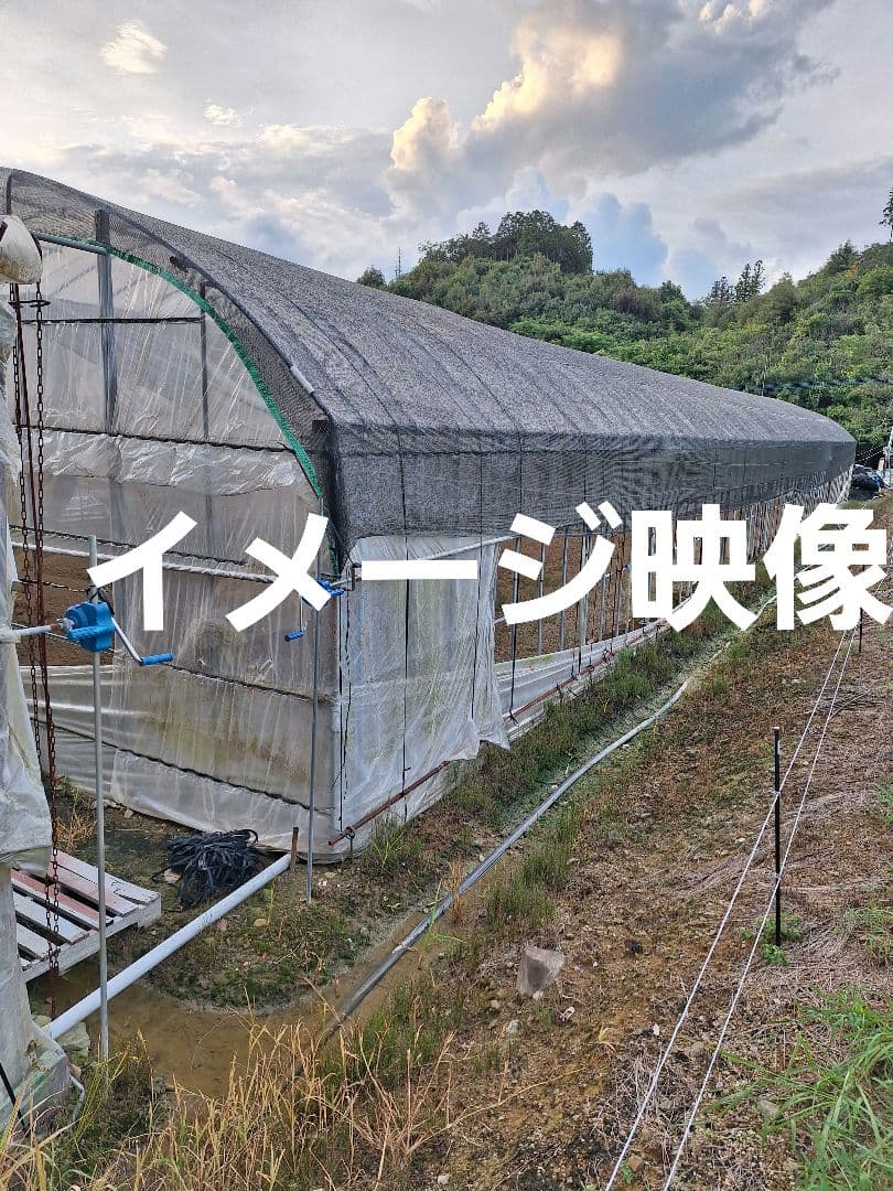 「お値下げ致しました』ハウス用遮光ネット(網タイプ)