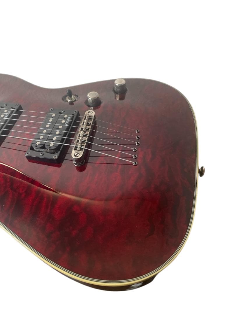 シェクター　OMEN EXTREME -6　SCHECTER (SGR-1C)