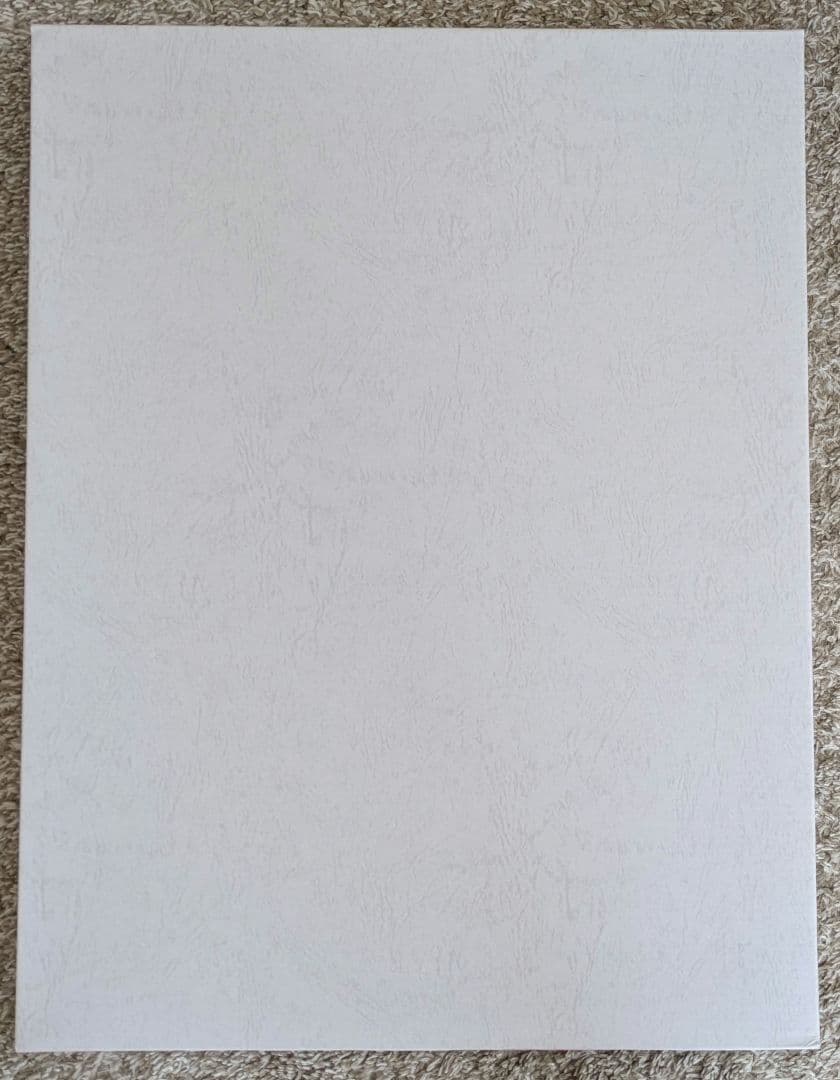 シティーハンター　高精細複製原画（30枚限定品）