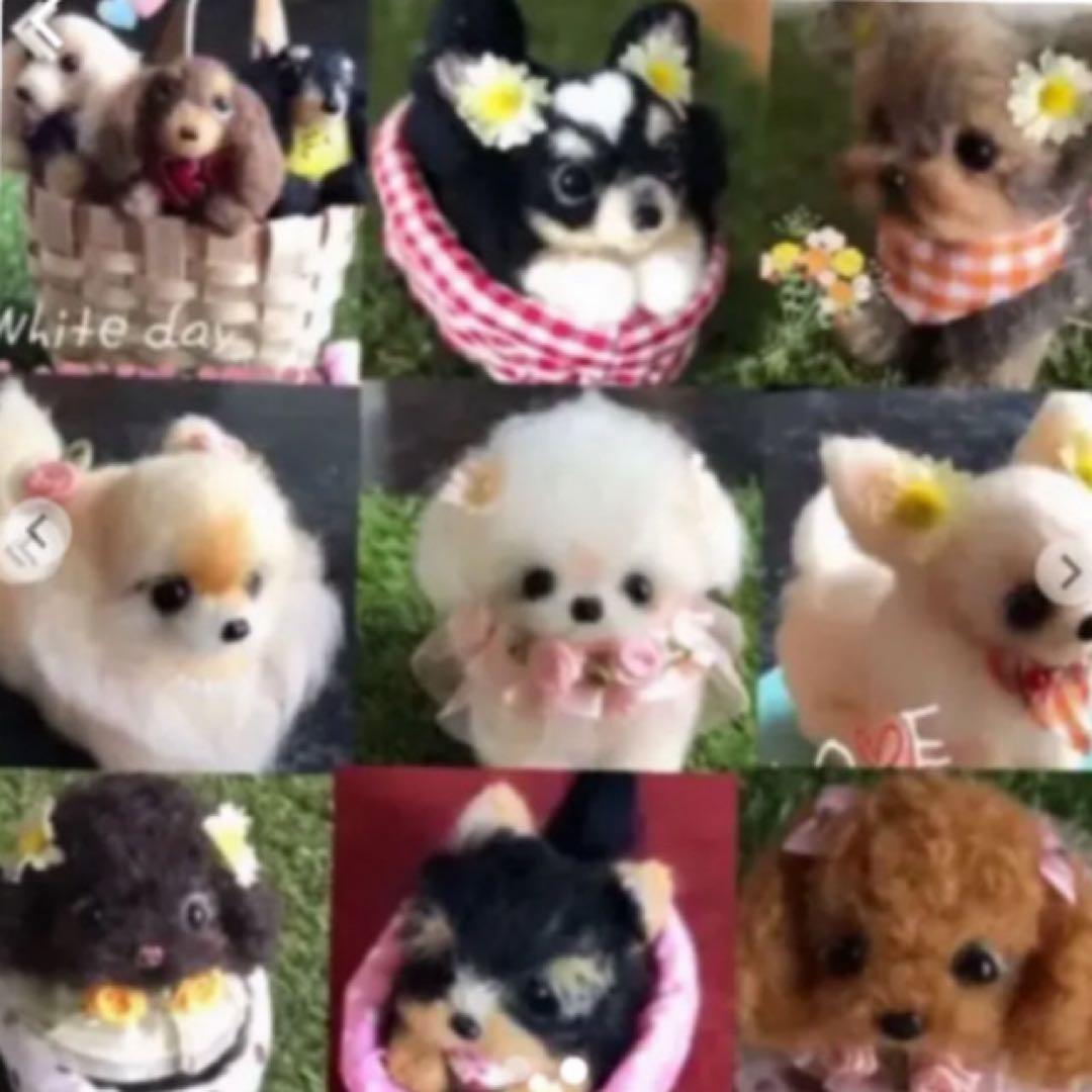 羊毛フェルト 犬　オーダー募集中