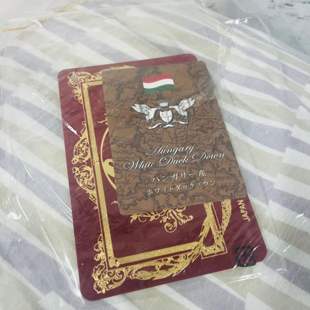 K2226【モリリン】スペイン産ホワイトダックダウン