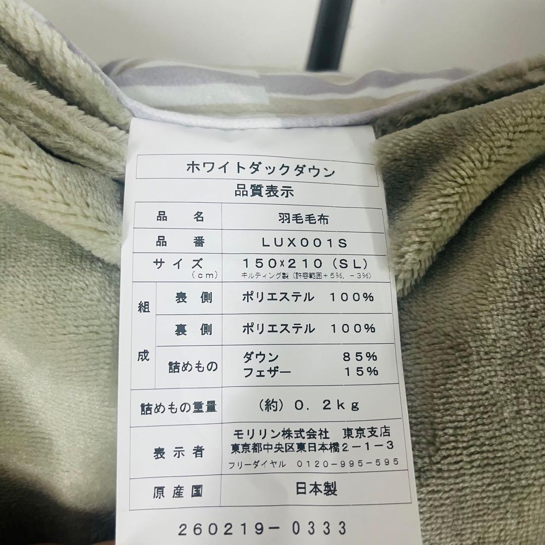 K2226【モリリン】スペイン産ホワイトダックダウン