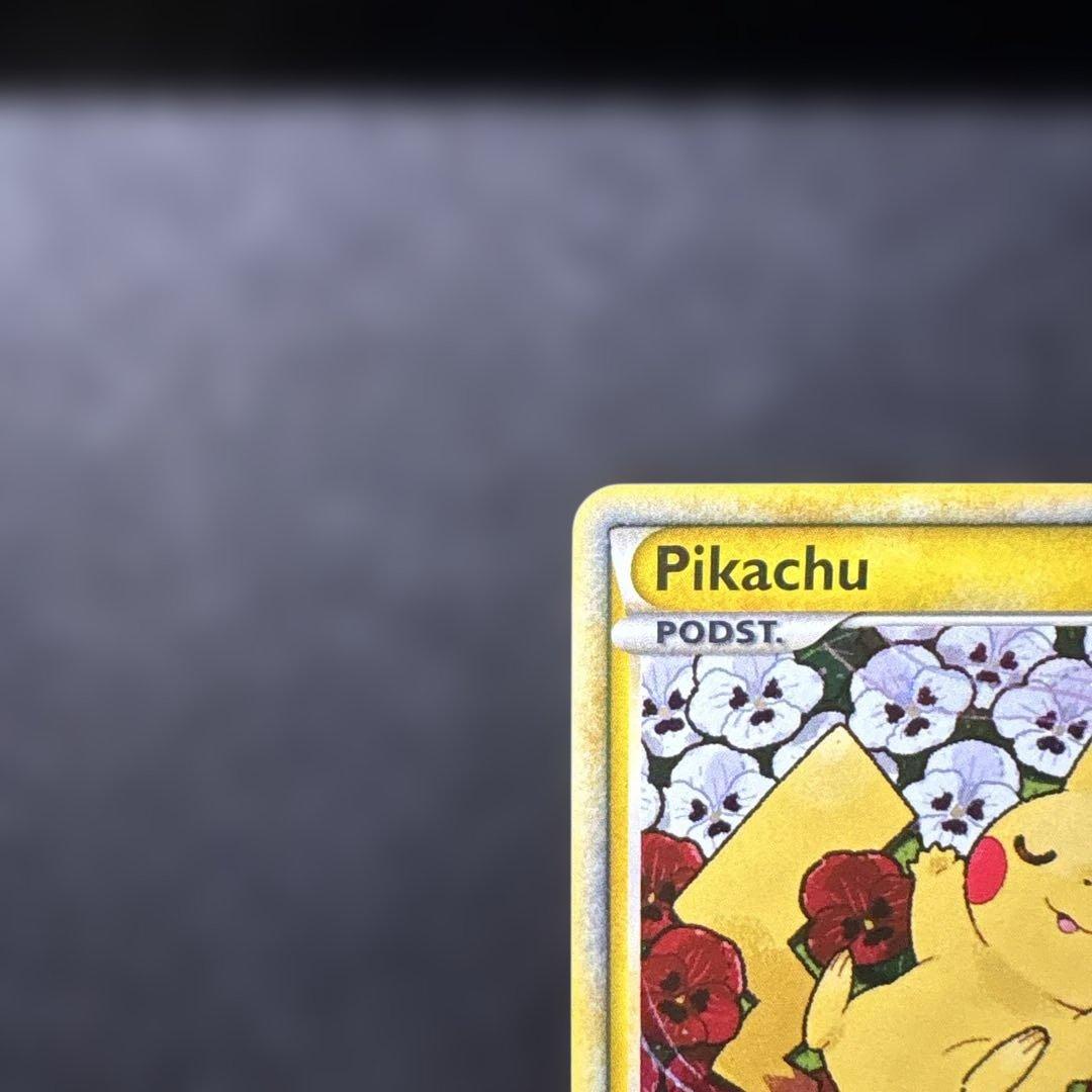 ピカチュウワールド　ピカチュウ　ポーランド