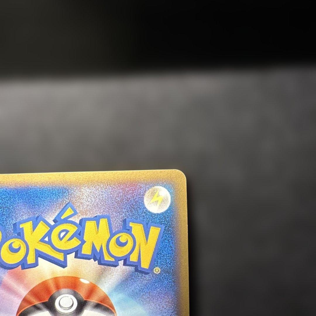 ピカチュウワールド　ピカチュウ　ポーランド