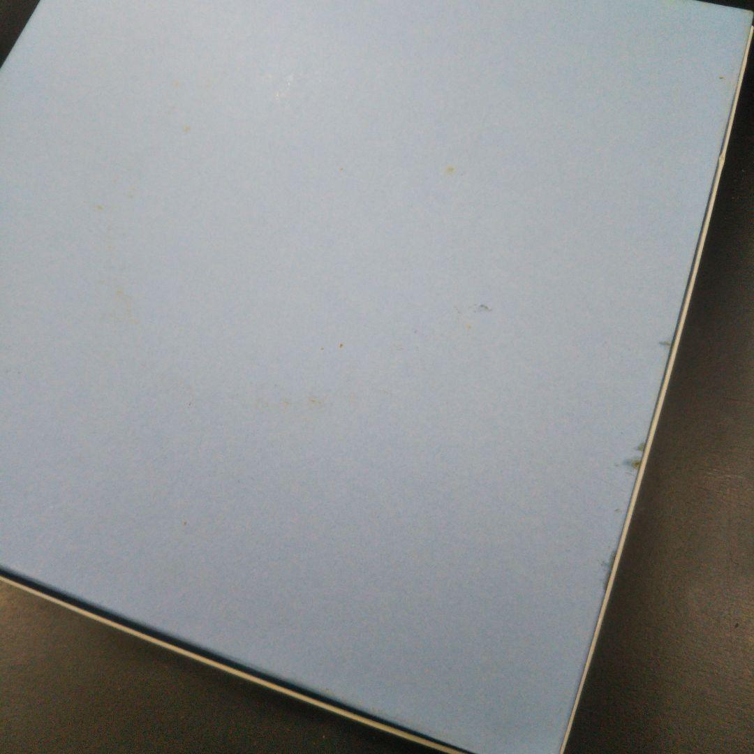 【正規品2枚】  ワイルドストロベリーアーカイブ 27cm