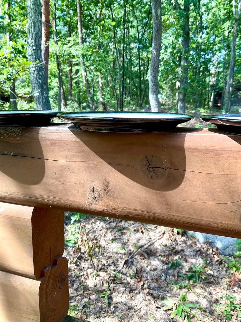 Denby デンビー黒、藍〜白のグラデーション皿4枚セット英国製