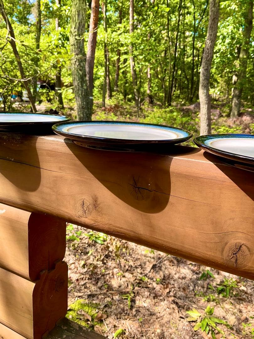 Denby デンビー黒、藍〜白のグラデーション皿4枚セット英国製