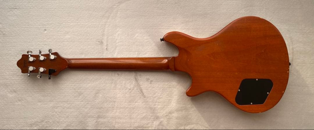 ESP POTBELLY CUSTOM ORDER （専用ESPハードケース付） - メルカリ